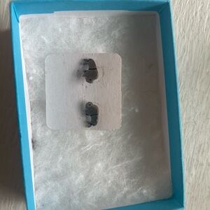 Buffalo earrings from local Buffalo, NY boutique